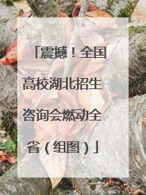 震撼！全国高校湖北招生咨询会燃动全省（组图）