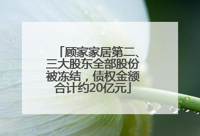 顾家家居第二、三大股东全部股份被冻结，债权金额合计约20亿元
