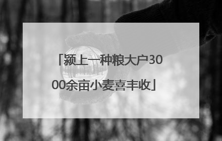 颍上一种粮大户3000余亩小麦喜丰收