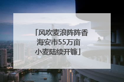 风吹麦浪阵阵香 海安市55万亩小麦陆续开镰