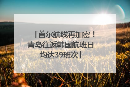 首尔航线再加密！青岛往返韩国航班日均达39班次