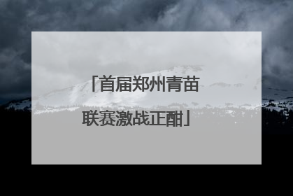 首届郑州青苗联赛激战正酣