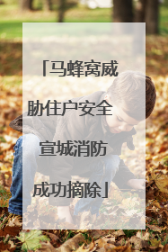 马蜂窝威胁住户安全 宣城消防成功摘除