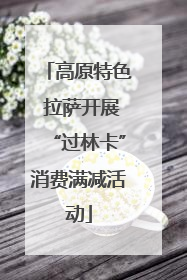 高原特色 拉萨开展“过林卡”消费满减活动