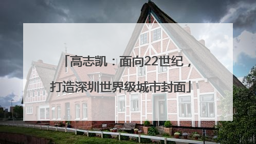 高志凯：面向22世纪，打造深圳世界级城市封面