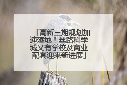 高新三期规划加速落地！丝路科学城又有学校及商业配套迎来新进展