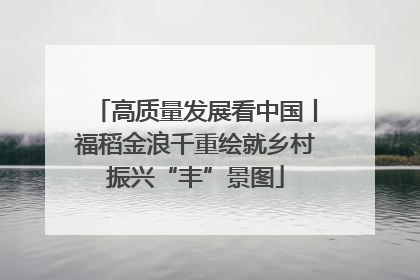 高质量发展看中国丨福稻金浪千重绘就乡村振兴“丰”景图