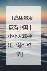 高质量发展看中国｜小小大蒜种出“辣”经济