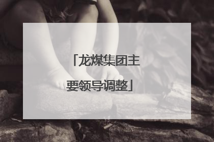 龙煤集团主要领导调整
