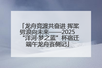 龙舟竞渡共奋进 挥桨劈浪向未来——2025“洋河·梦之蓝”杯宿迁端午龙舟赛侧记