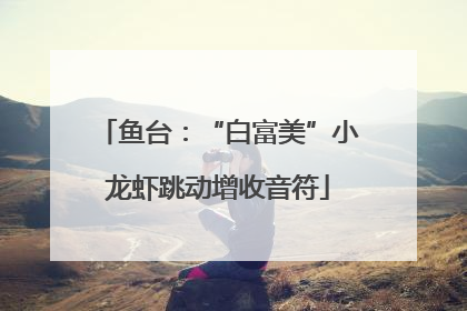 鱼台：“白富美”小龙虾跳动增收音符