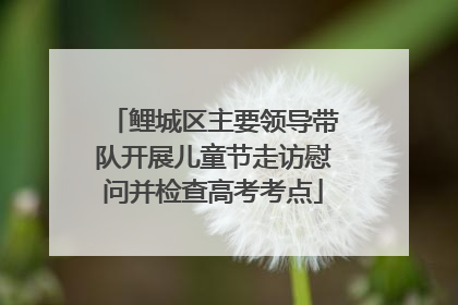 鲤城区主要领导带队开展儿童节走访慰问并检查高考考点