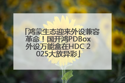 鸿蒙生态迎来外设兼容革命！国开鸿PDBox外设万能盒在HDC 2025大放异彩