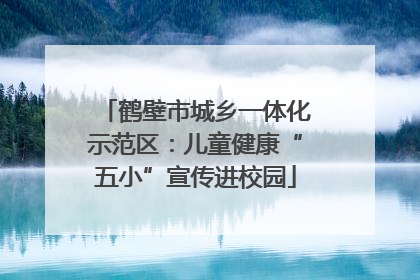 鹤壁市城乡一体化示范区：儿童健康“五小”宣传进校园