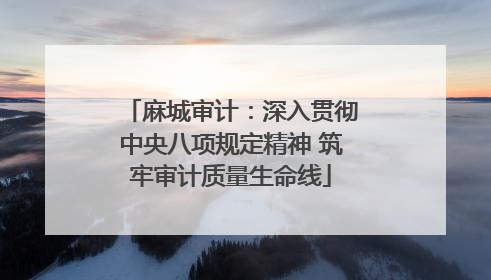 麻城审计：深入贯彻中央八项规定精神 筑牢审计质量生命线