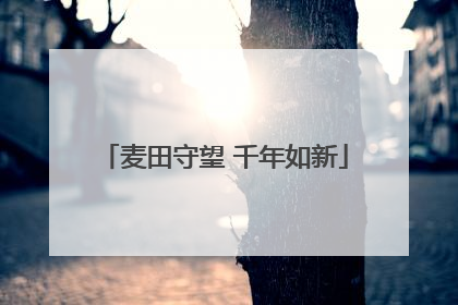 麦田守望 千年如新