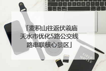 麦积山往返伏羲庙 天水市优化5路公交线路串联核心景区