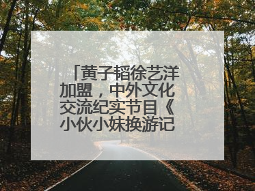 黄子韬徐艺洋加盟，中外文化交流纪实节目《小伙小妹换游记》六月上线