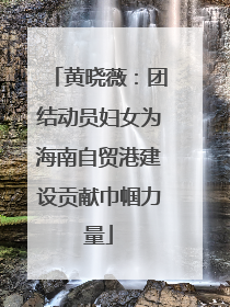 黄晓薇：团结动员妇女为海南自贸港建设贡献巾帼力量