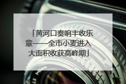 黄河口奏响丰收乐章——全市小麦进入大面积收获高峰期