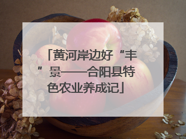 黄河岸边好“丰”景——合阳县特色农业养成记