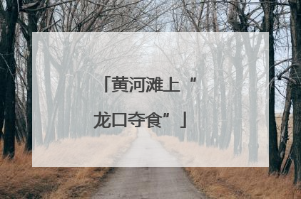 黄河滩上“龙口夺食”