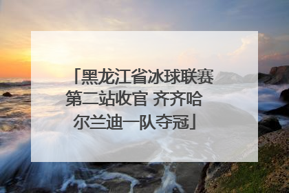 黑龙江省冰球联赛第二站收官 齐齐哈尔兰迪一队夺冠