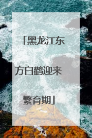 黑龙江东方白鹳迎来繁育期