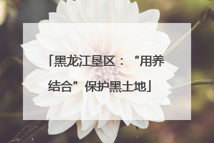 黑龙江垦区：“用养结合”保护黑土地