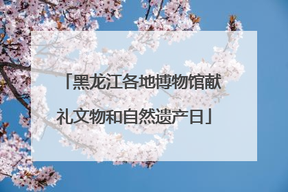 黑龙江各地博物馆献礼文物和自然遗产日