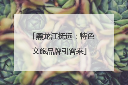 黑龙江抚远：特色文旅品牌引客来