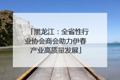 黑龙江：全省性行业协会商会助力伊春产业高质量发展