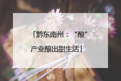 黔东南州：“酸”产业酿出甜生活