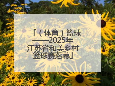 （体育）篮球——2025年江苏省和美乡村篮球赛落幕