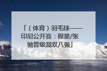 （体育）羽毛球——印尼公开赛：程星/张驰晋级混双八强