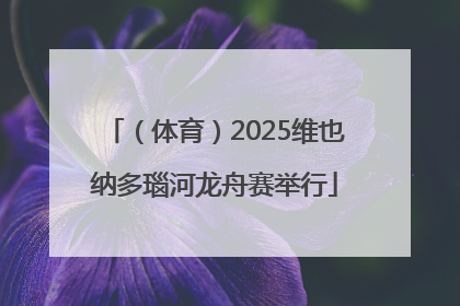 （体育）2025维也纳多瑙河龙舟赛举行