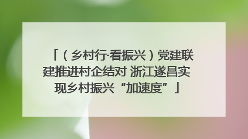 （乡村行·看振兴）党建联建推进村企结对 浙江遂昌实现乡村振兴“加速度”