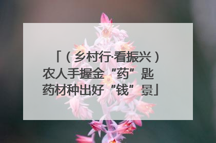 （乡村行·看振兴）农人手握金“药”匙 药材种出好“钱”景