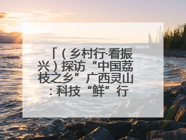 （乡村行·看振兴）探访“中国荔枝之乡”广西灵山：科技“鲜”行 实“荔”C位