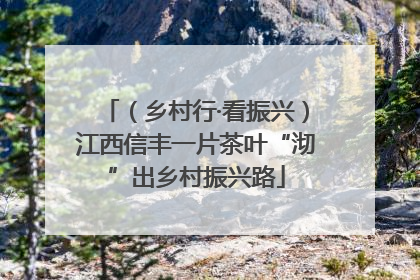 （乡村行·看振兴）江西信丰一片茶叶“沏”出乡村振兴路