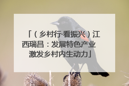 （乡村行·看振兴）江西瑞昌：发展特色产业 激发乡村内生动力