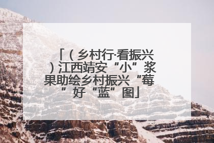 （乡村行·看振兴）江西靖安“小”浆果助绘乡村振兴“莓”好“蓝”图