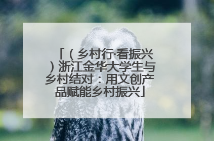 （乡村行·看振兴）浙江金华大学生与乡村结对：用文创产品赋能乡村振兴