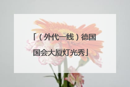 （外代一线）德国国会大厦灯光秀