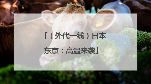 （外代一线）日本东京：高温来袭