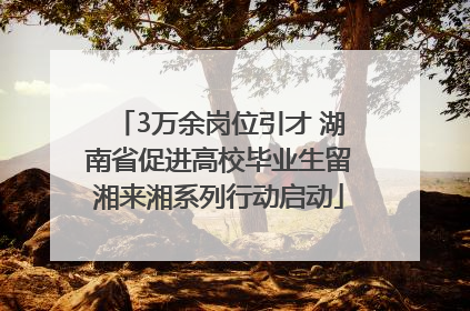 3万余岗位引才 湖南省促进高校毕业生留湘来湘系列行动启动