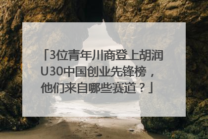 3位青年川商登上胡润U30中国创业先锋榜，他们来自哪些赛道？