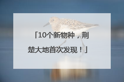 10个新物种，荆楚大地首次发现！