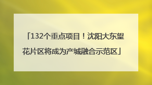 132个重点项目！沈阳大东望花片区将成为产城融合示范区