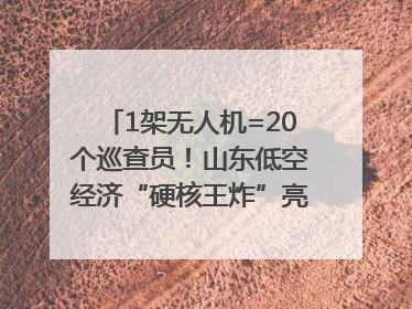 1架无人机=20个巡查员！山东低空经济“硬核王炸”亮相青岛，下一个万亿赛道藏在这里